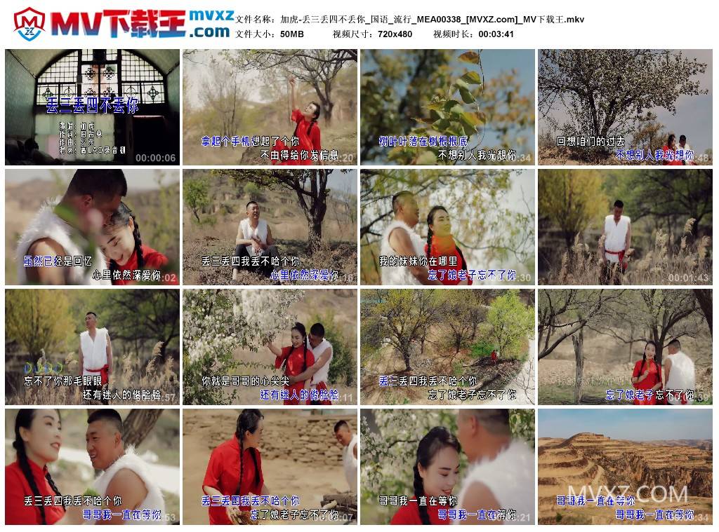 加虎-丢三丢四不丢你_国语_流行_MEA00338